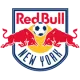 Logo New York Red Bulls B